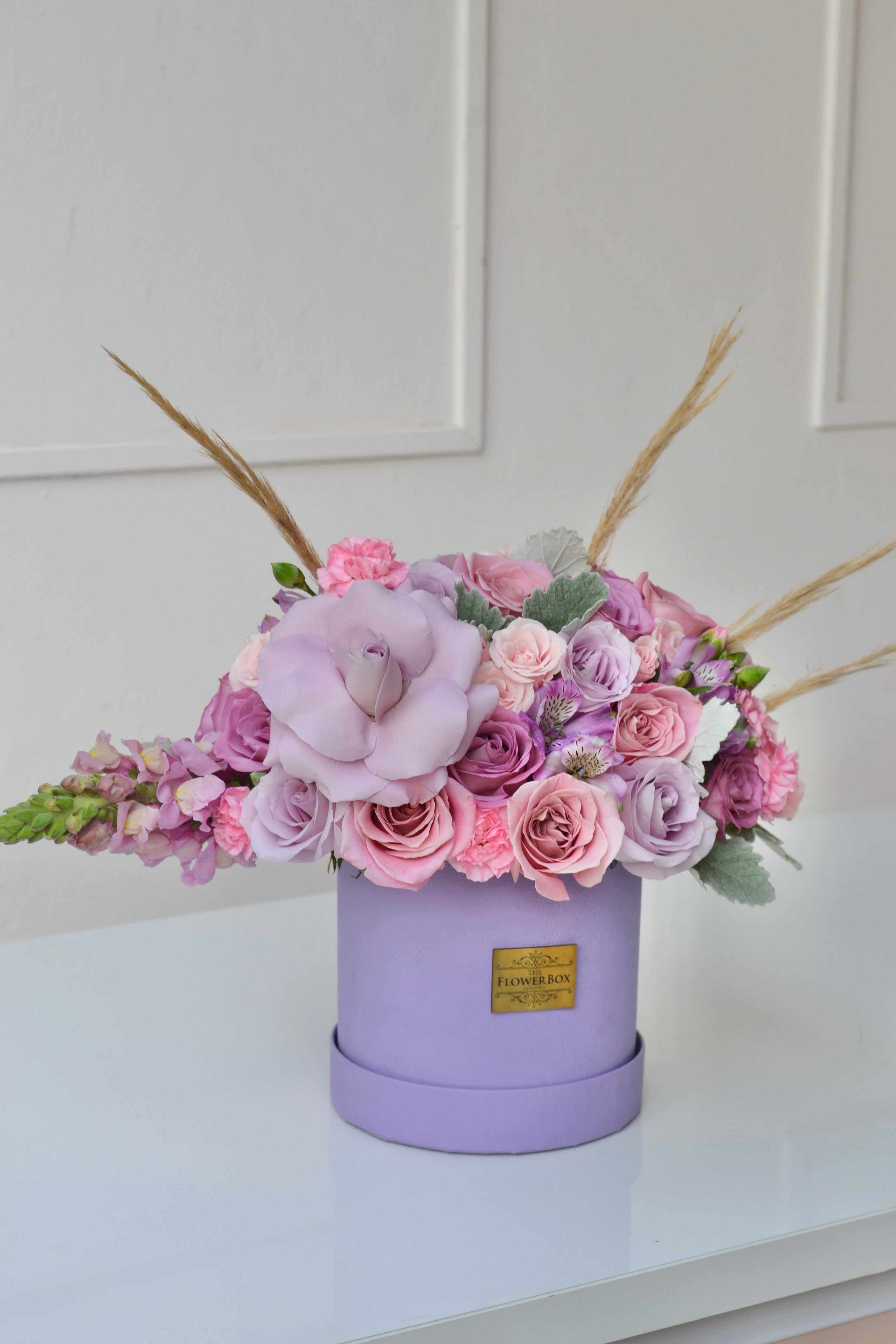 Lavender Bela