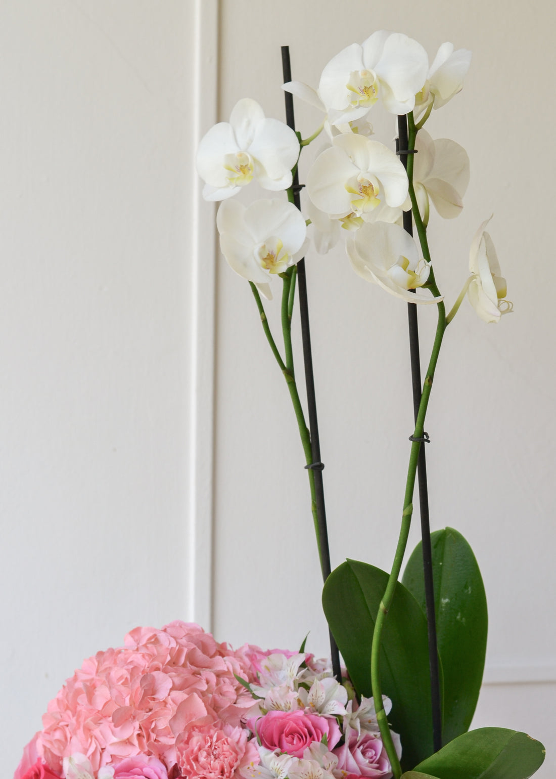 Orchid Marble