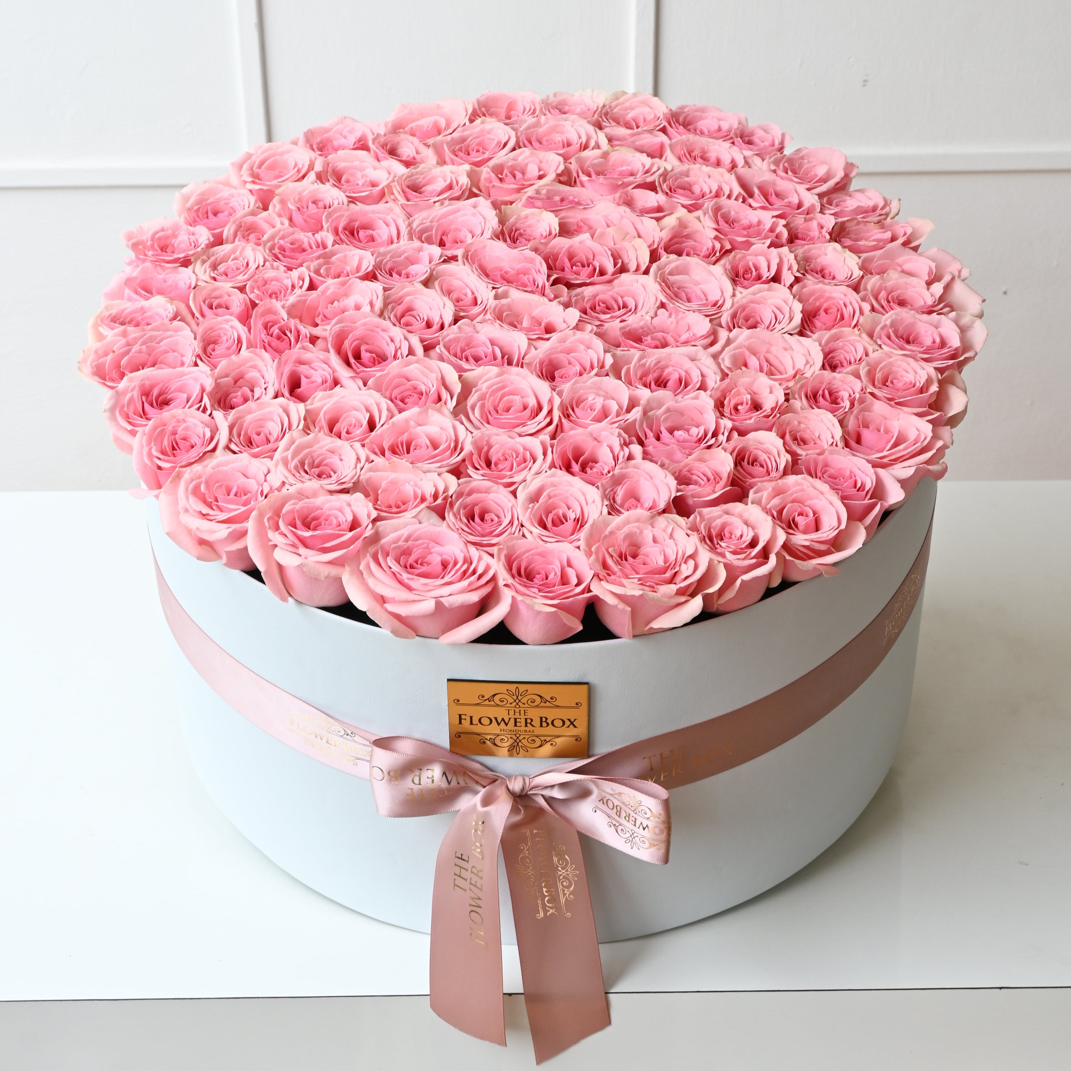 100 Roses Pink