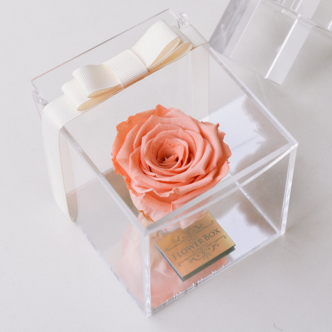 Crystal Preserved Box