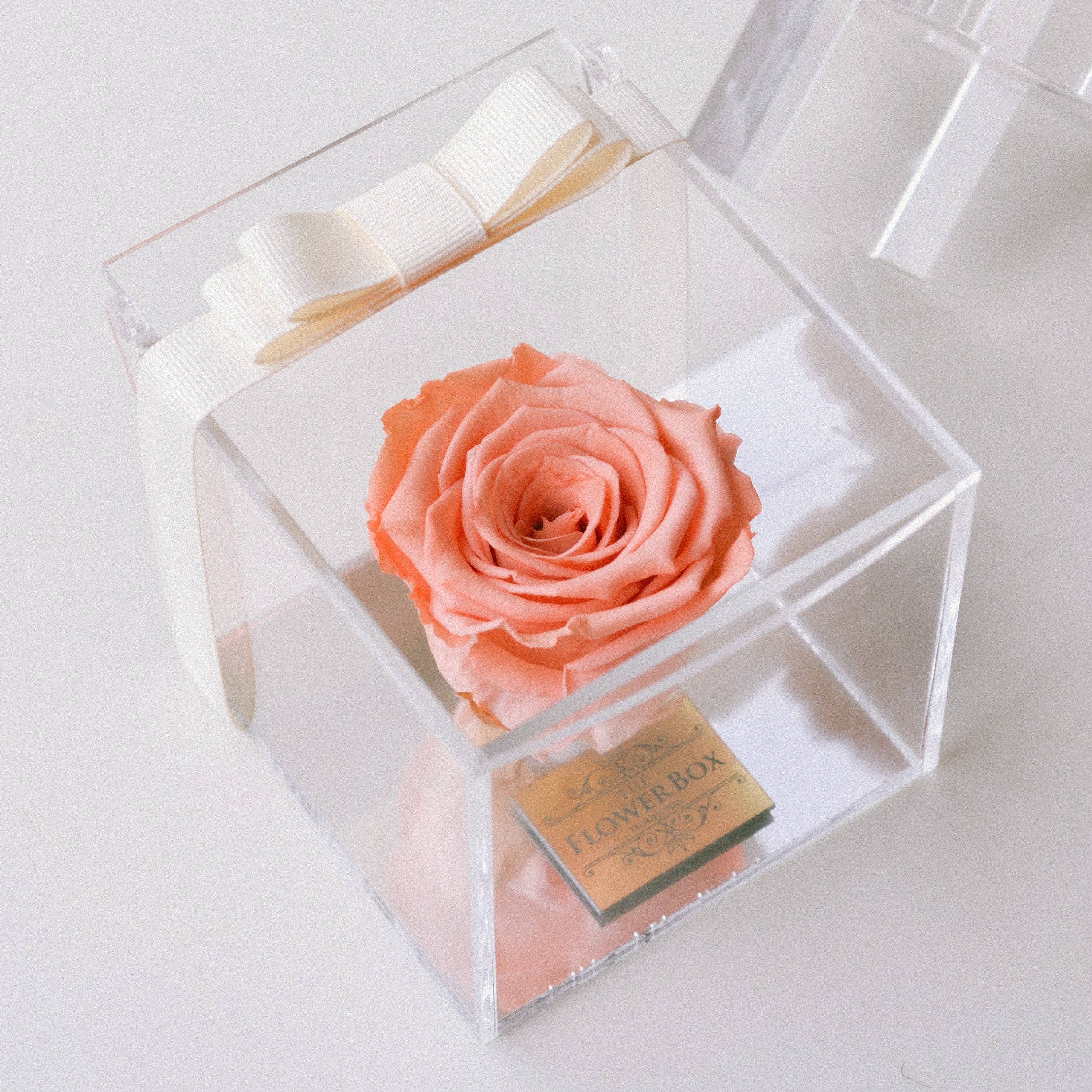 Crystal Preserved Box