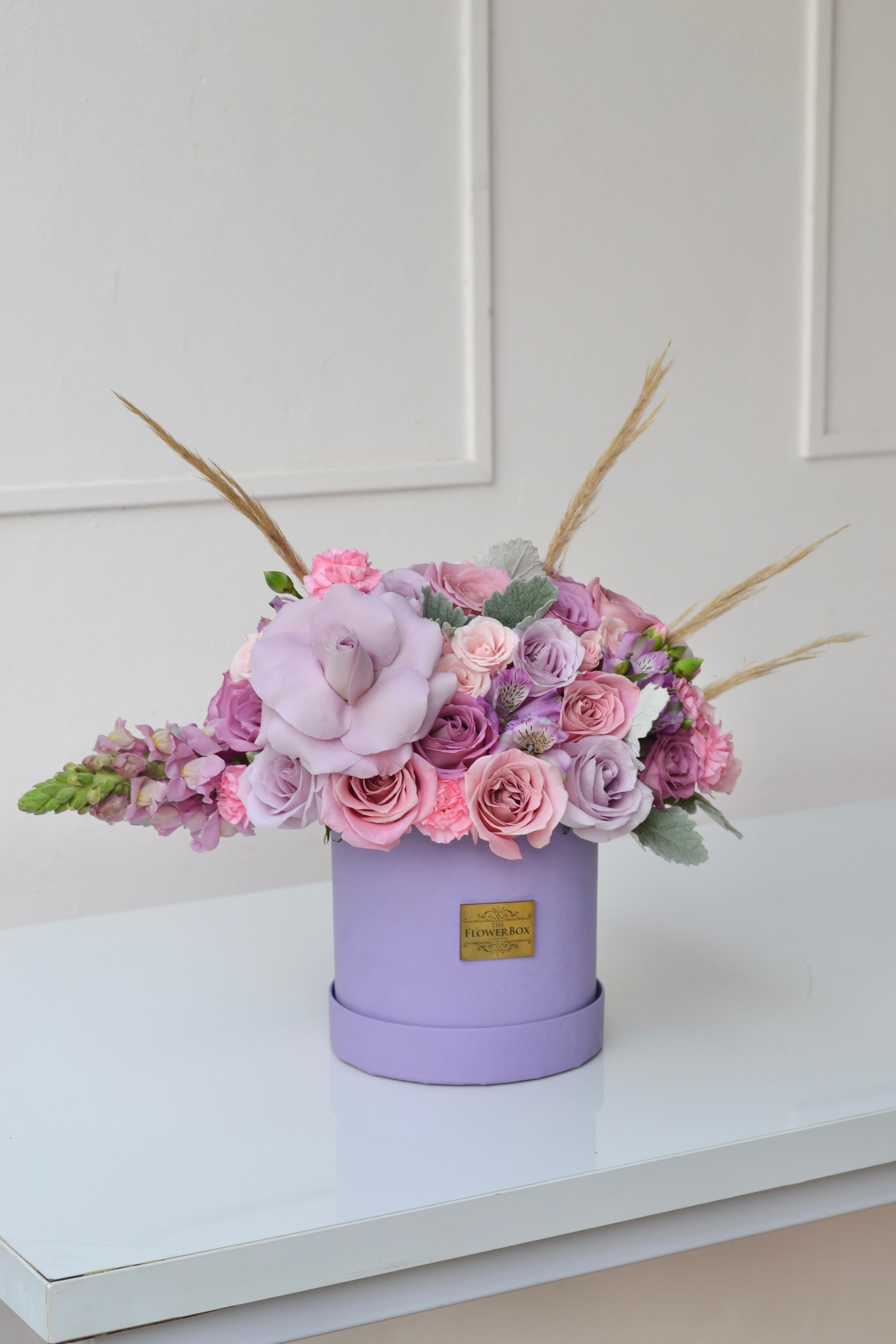 Lavender Bela