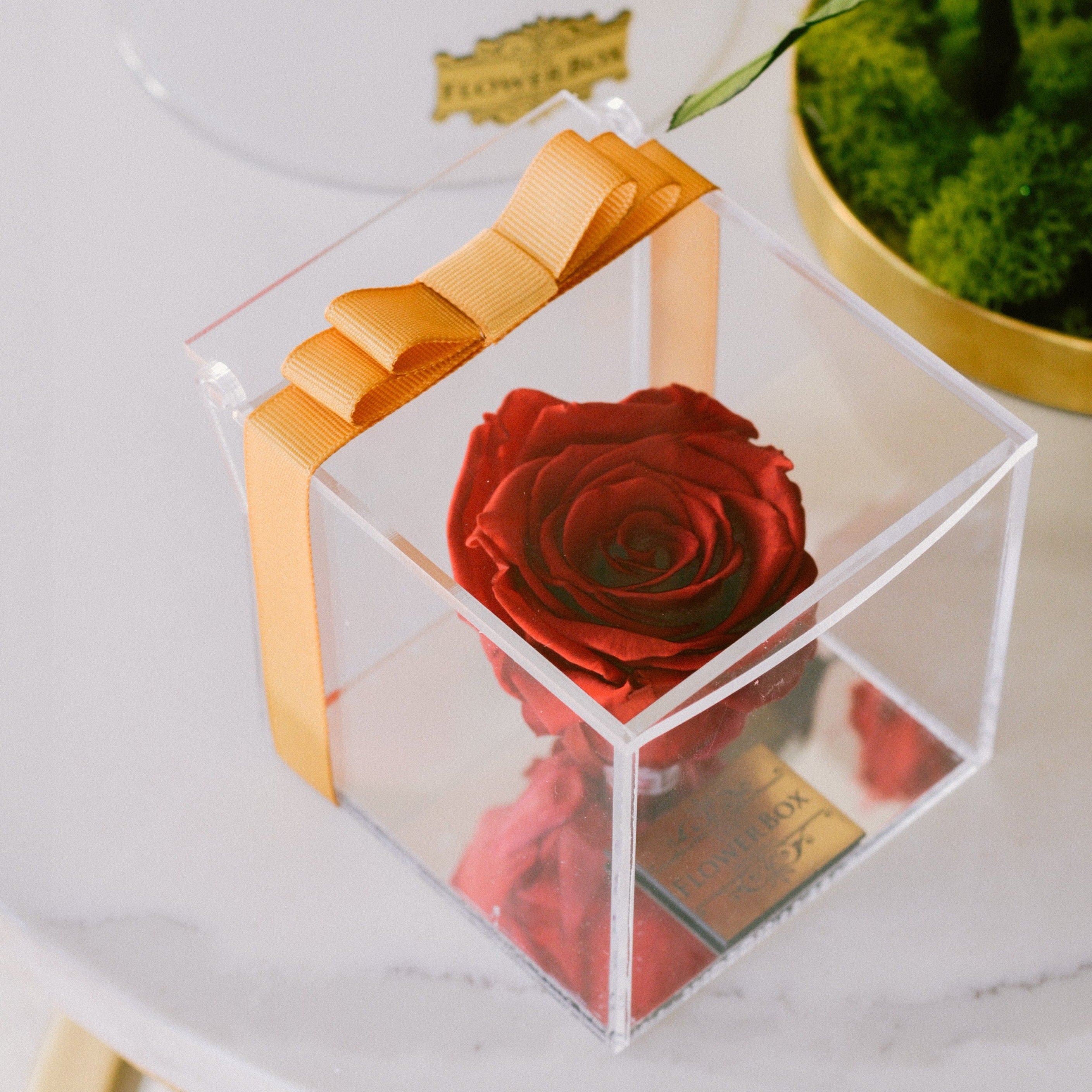 Crystal Preserved Box