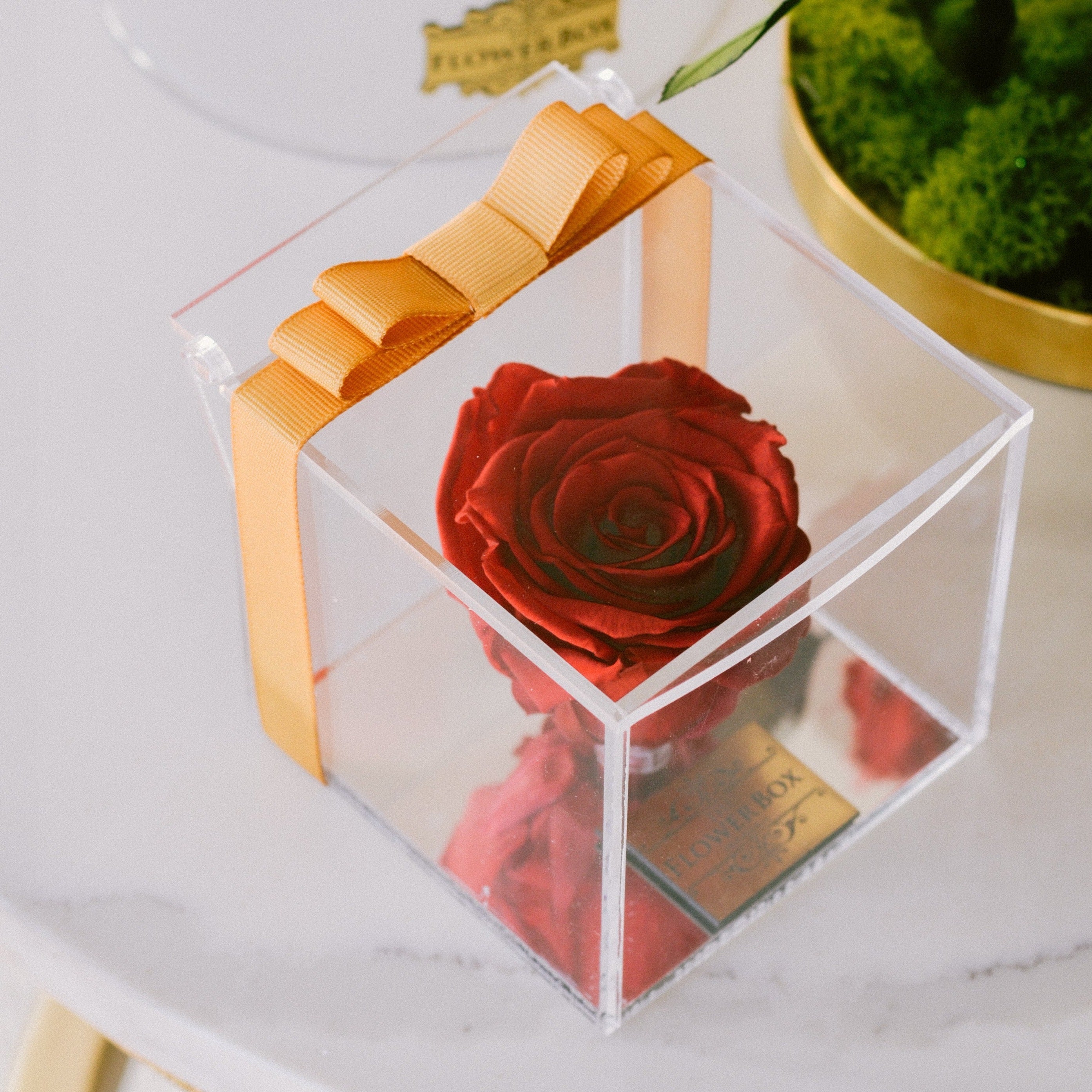 Crystal Preserved Box