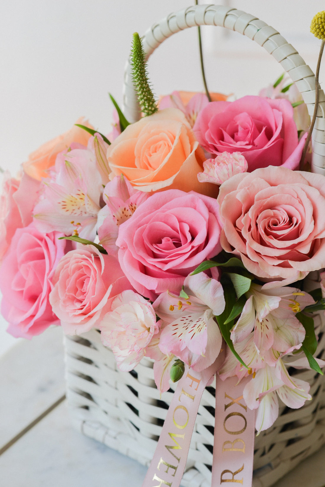 Pink in a Bloom