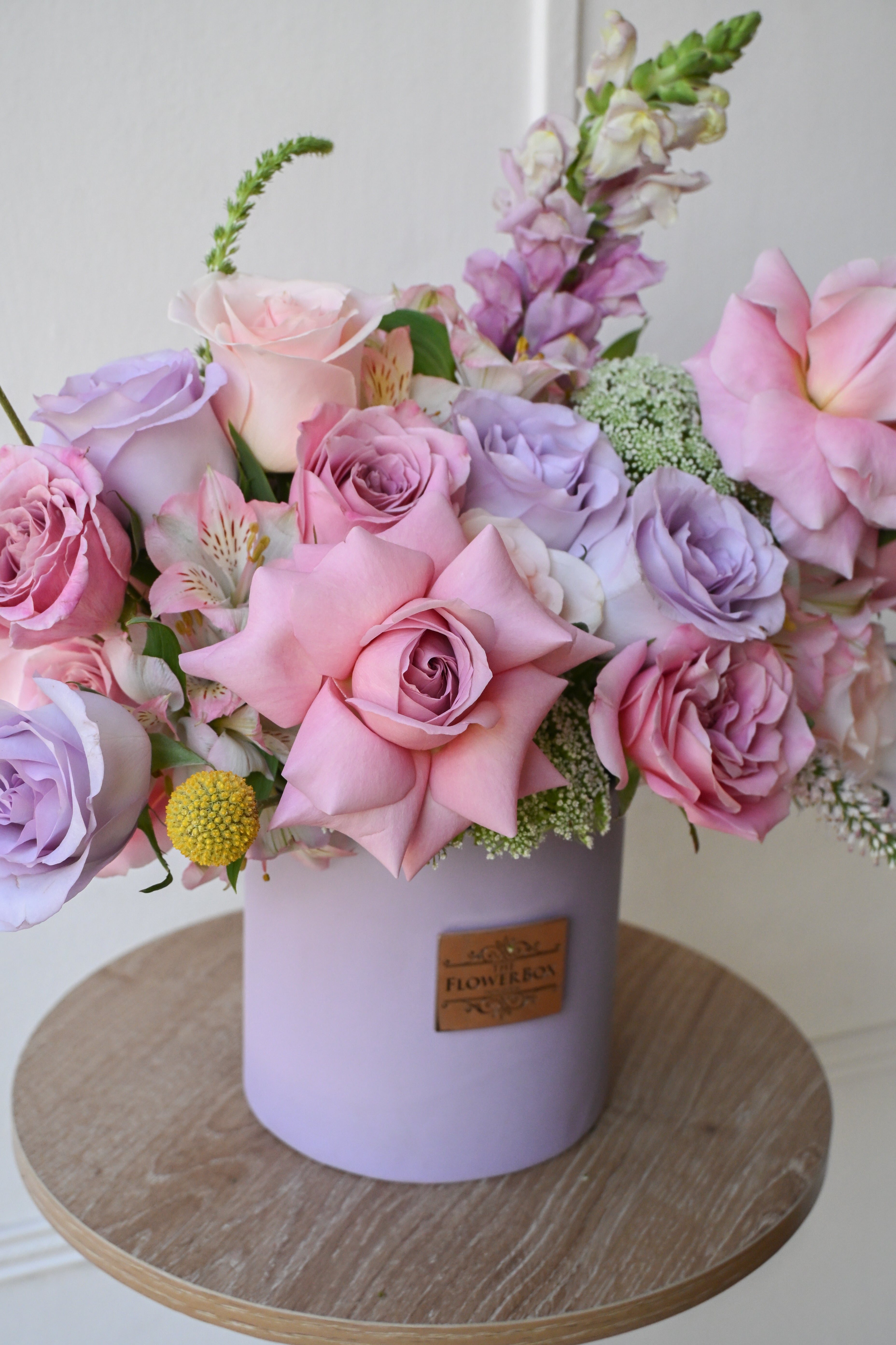 Lavender Dream