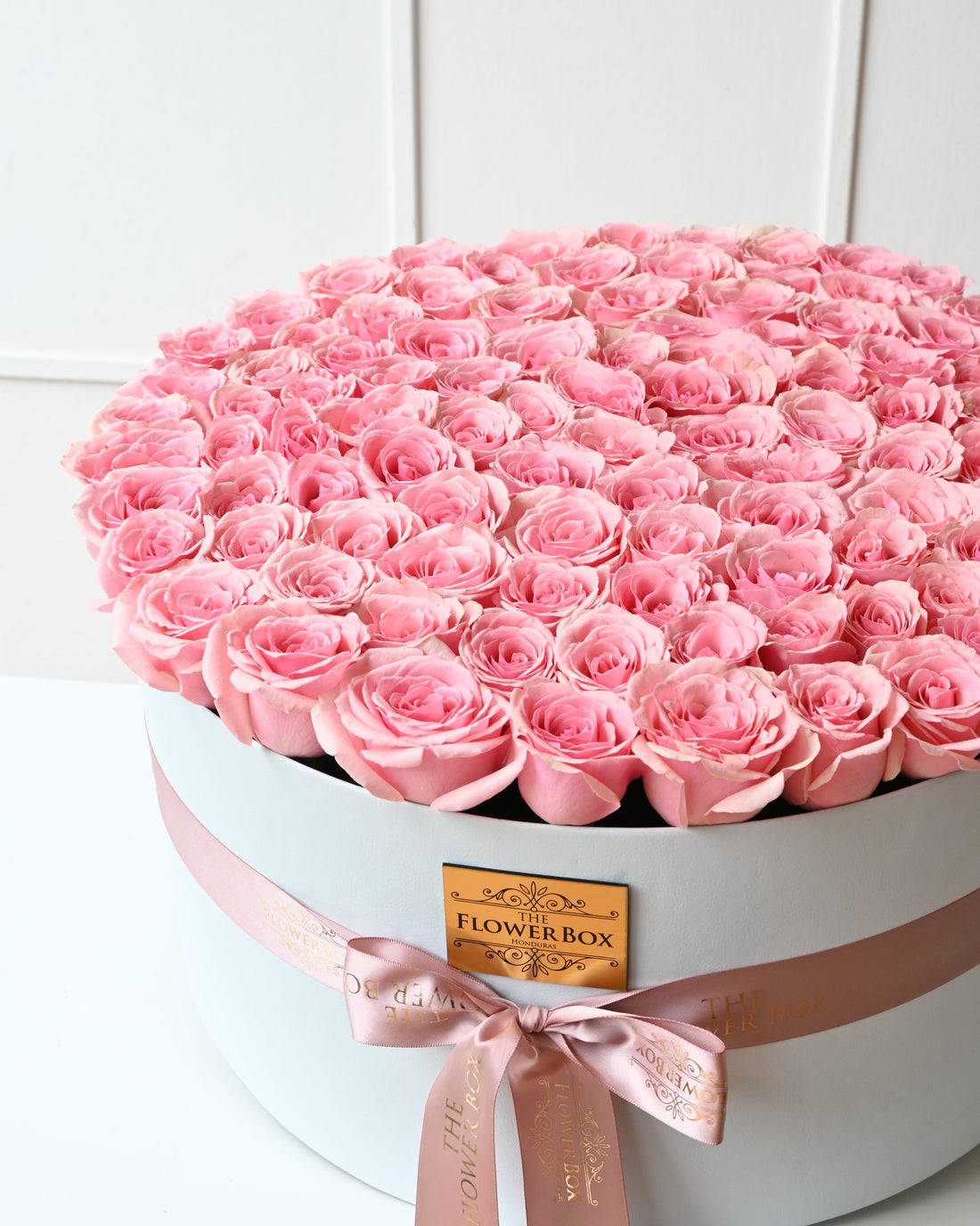 100 Roses Pink