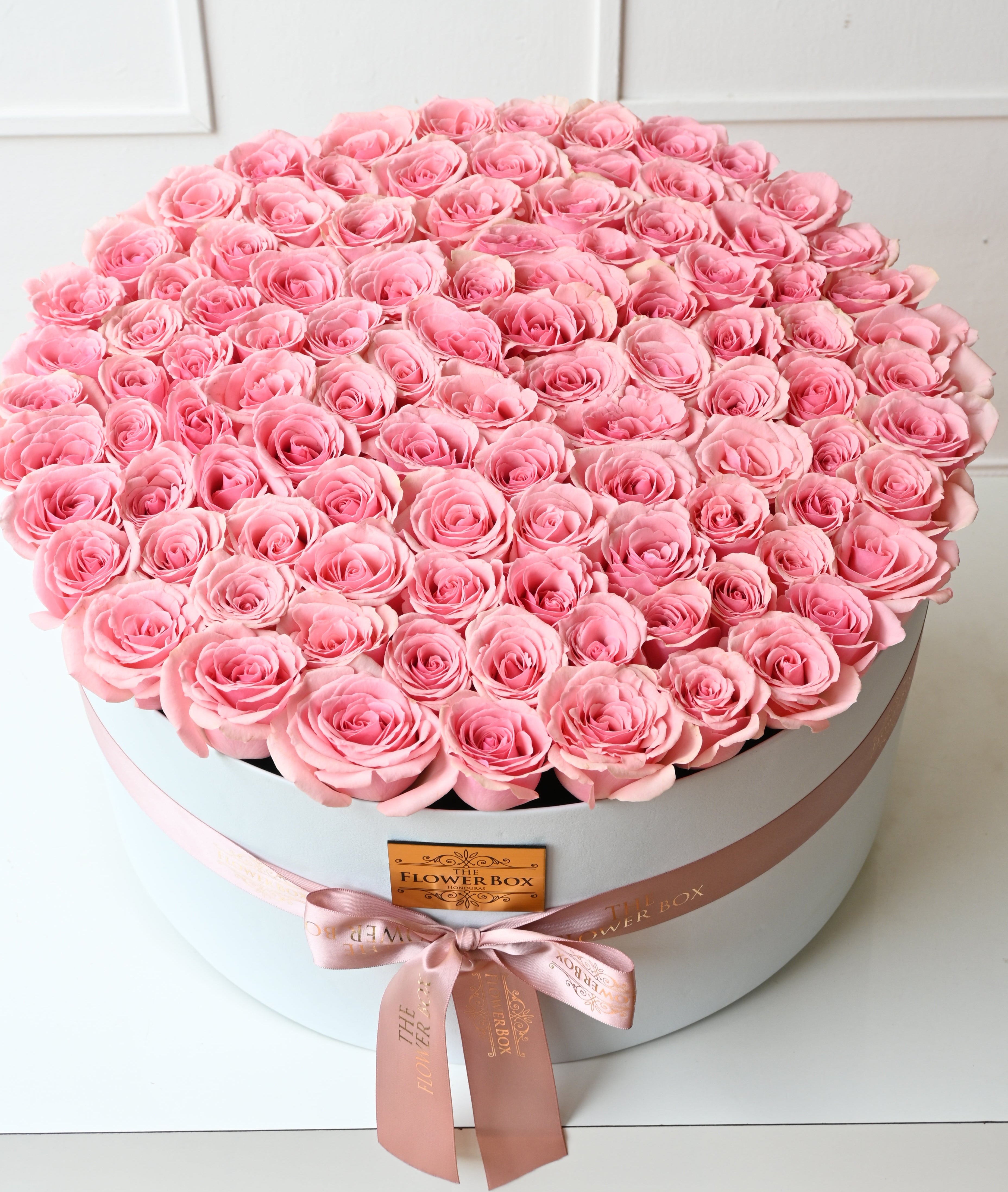 100 Roses Pink