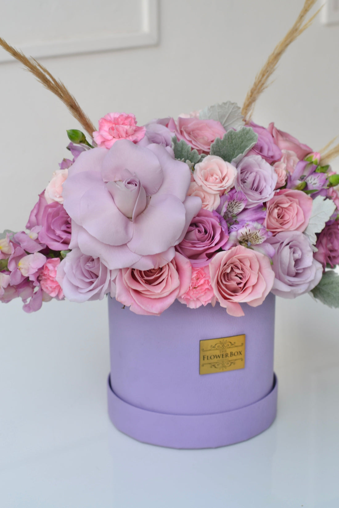 Lavender Bela