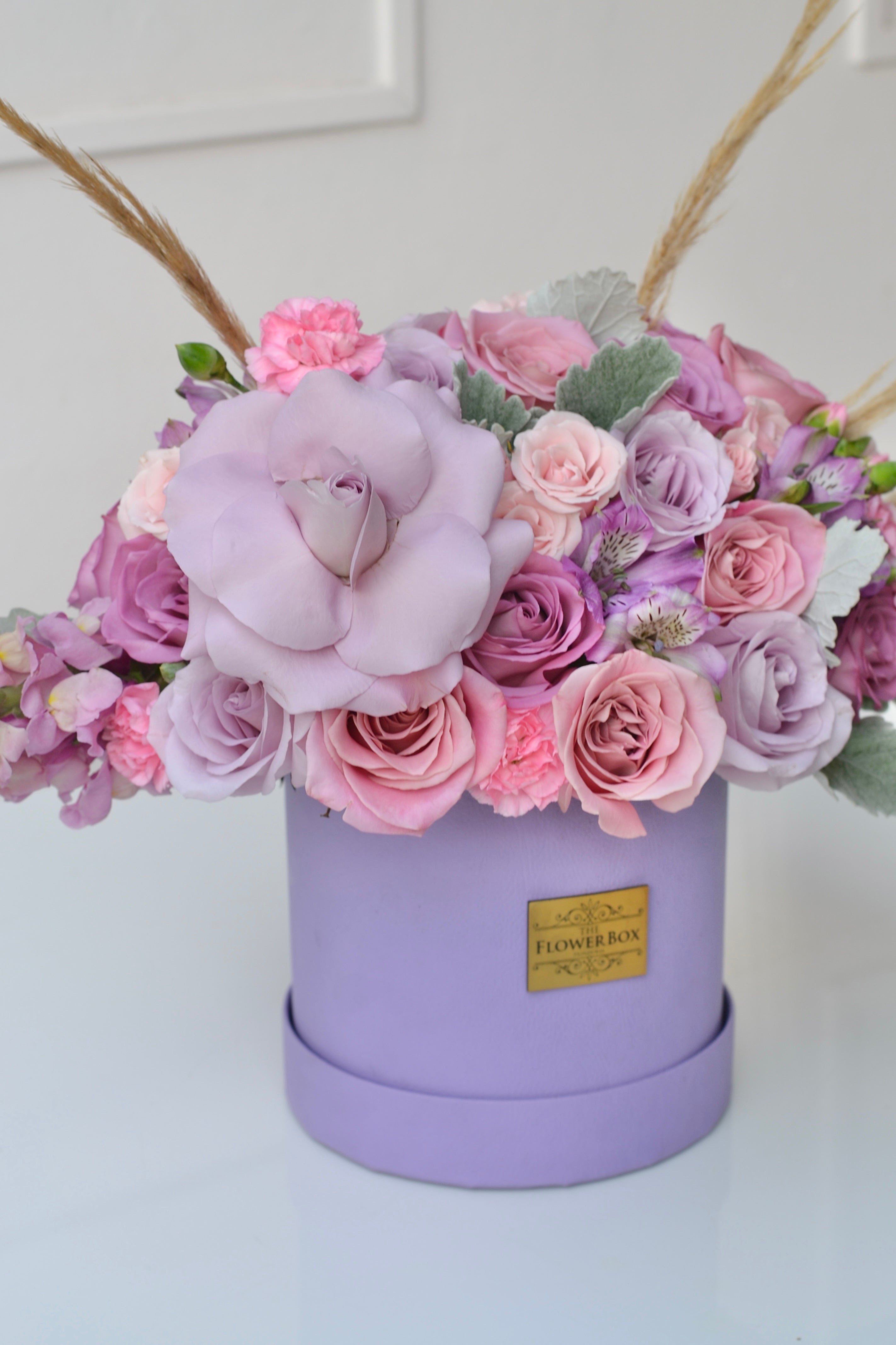 Lavender Bela