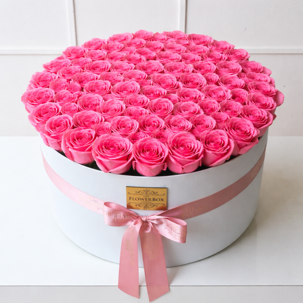 100 Roses Pink
