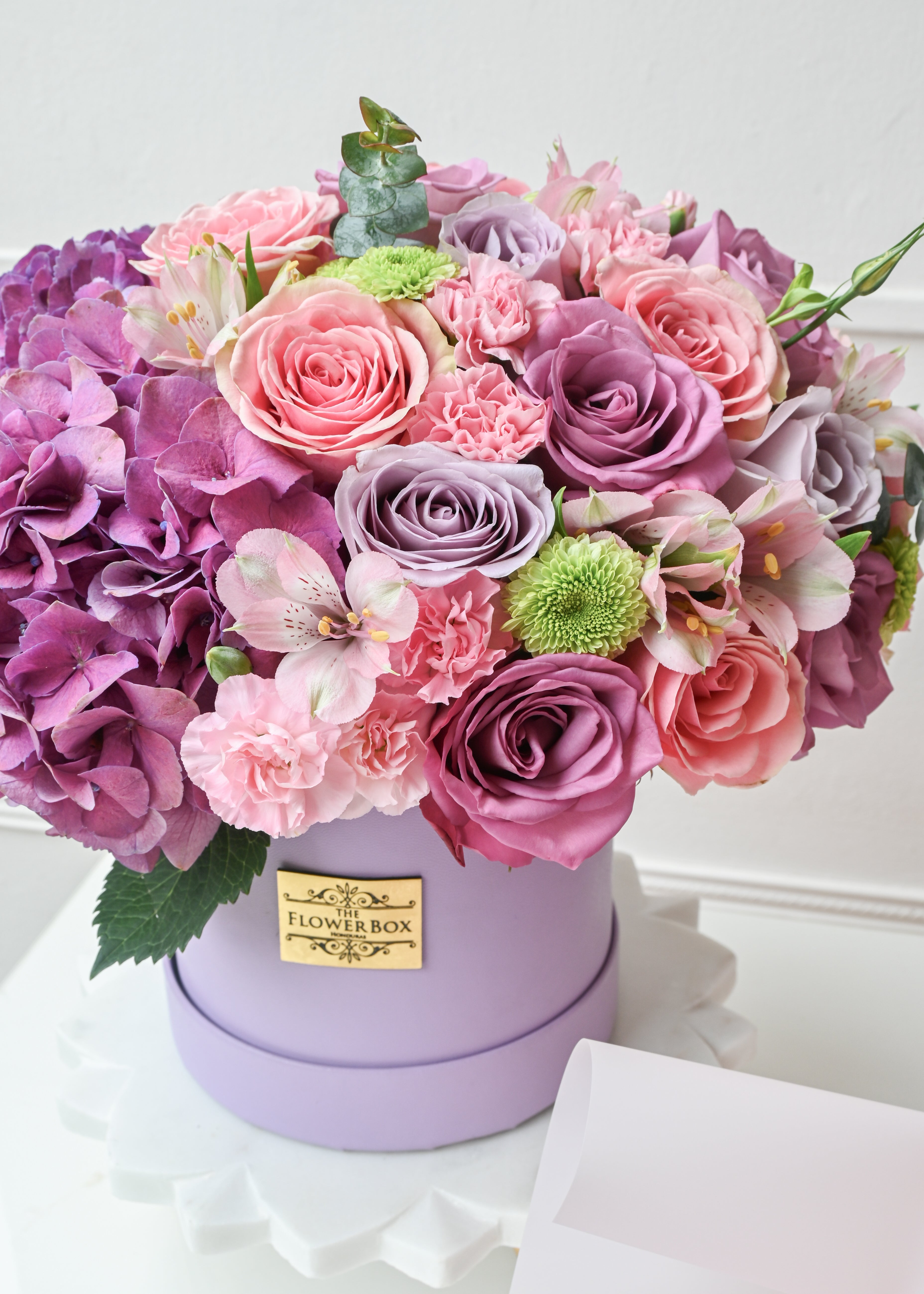 Lavender Blooms
