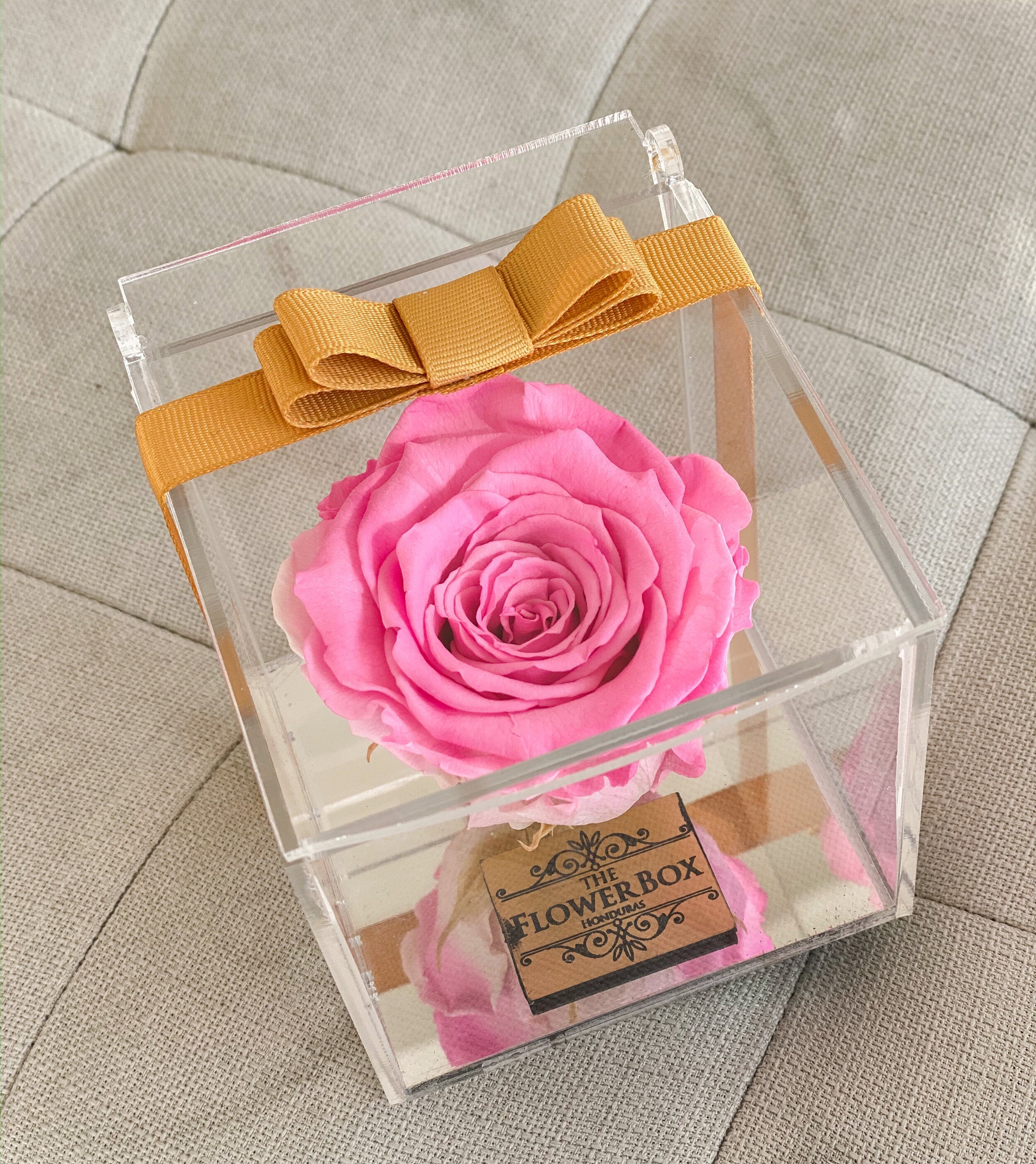 Crystal Preserved Box