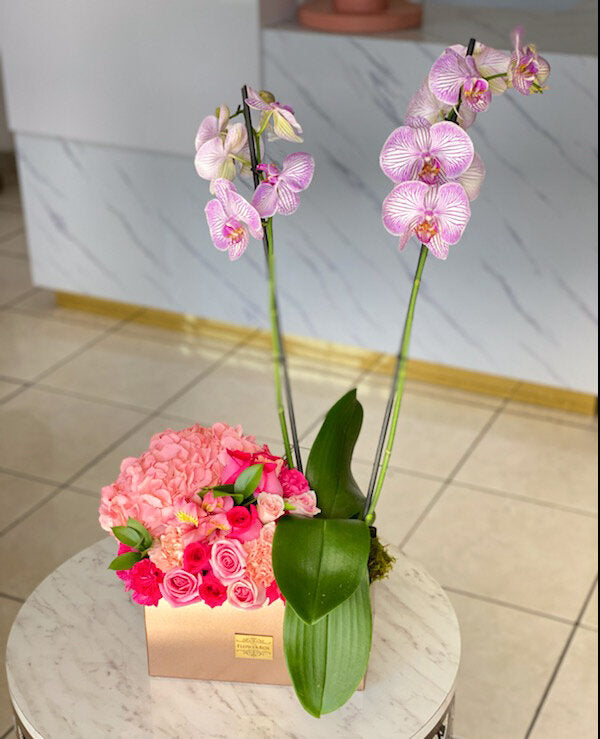 Orchid Forest