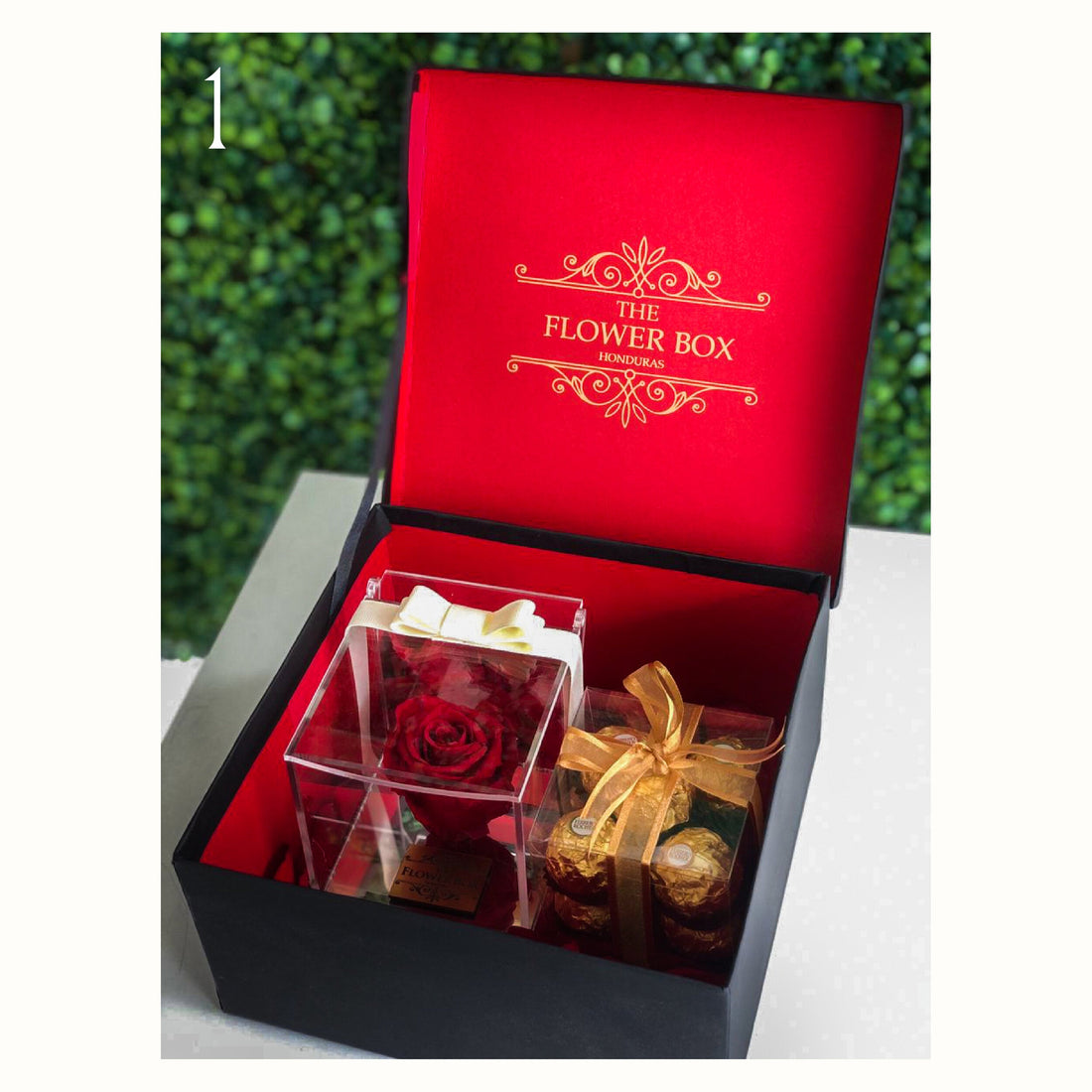 Pandora Preserved Box