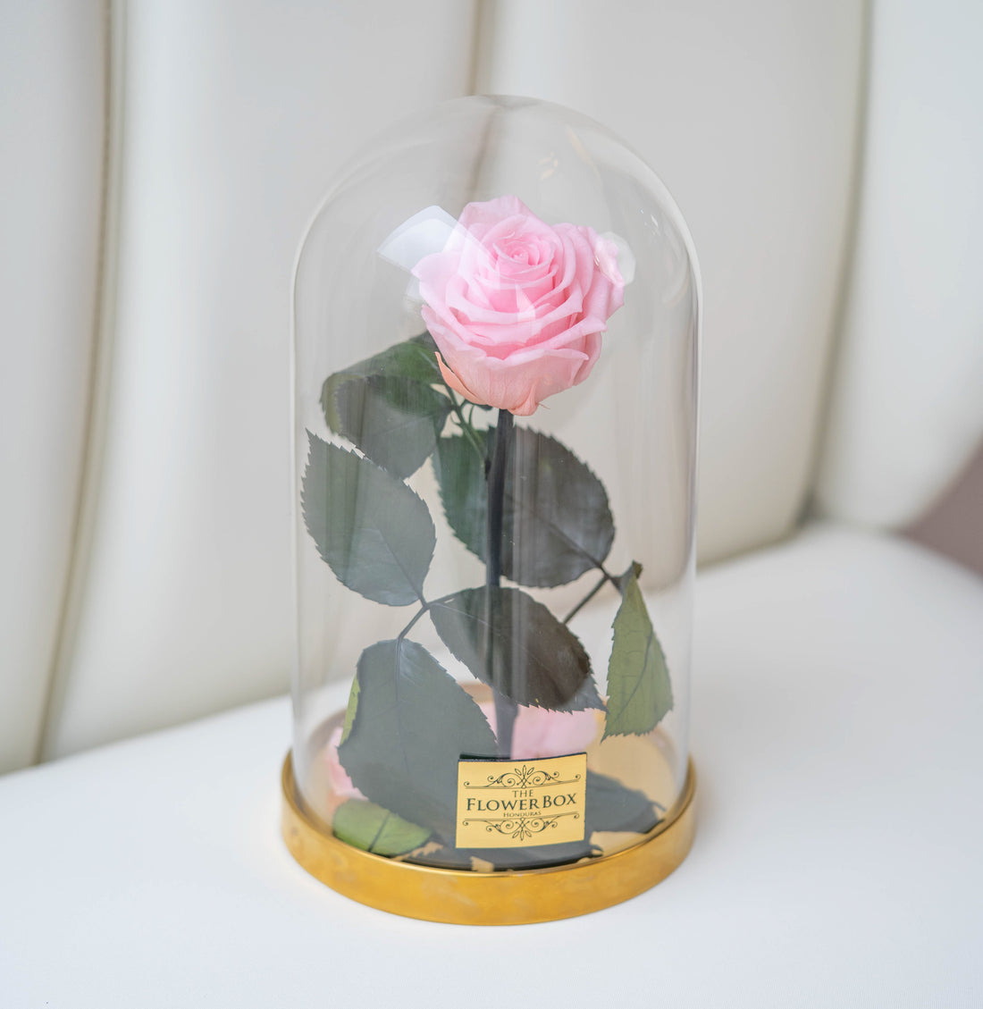 Beauty and the Beast