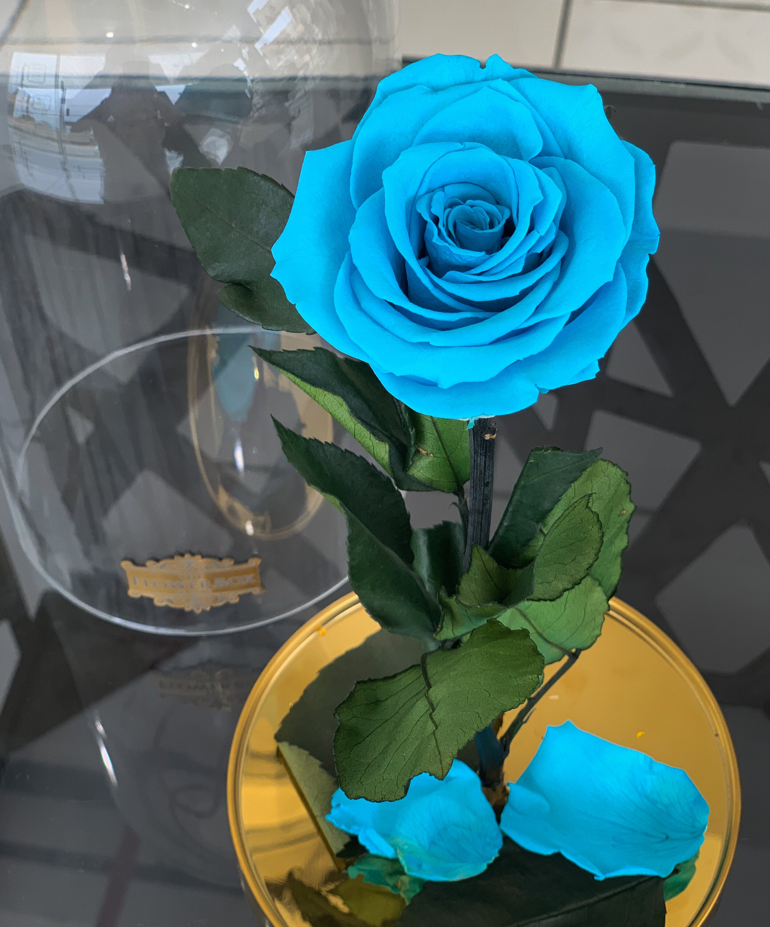 Beauty and the Beast