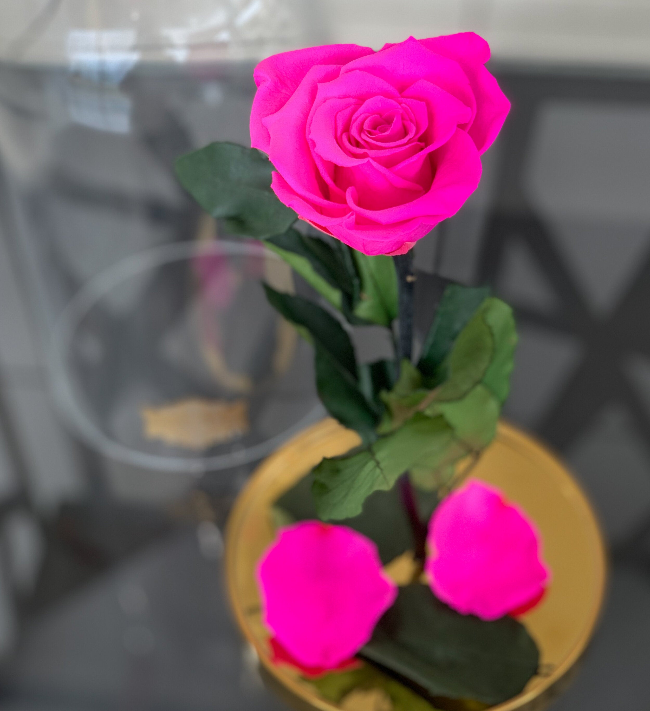 Beauty and the Beast