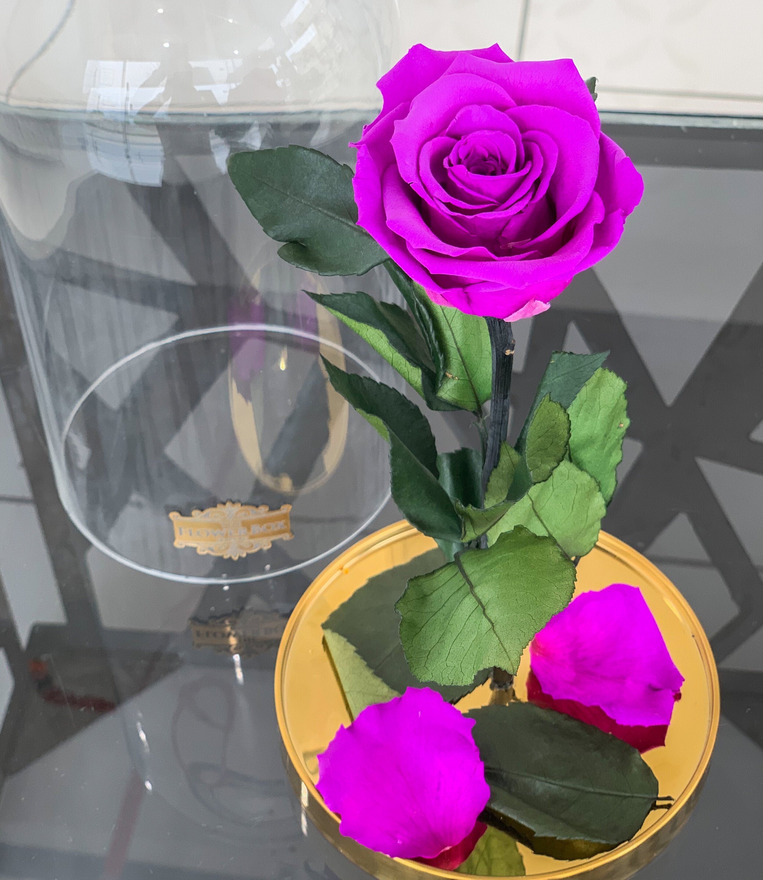 Beauty and the Beast