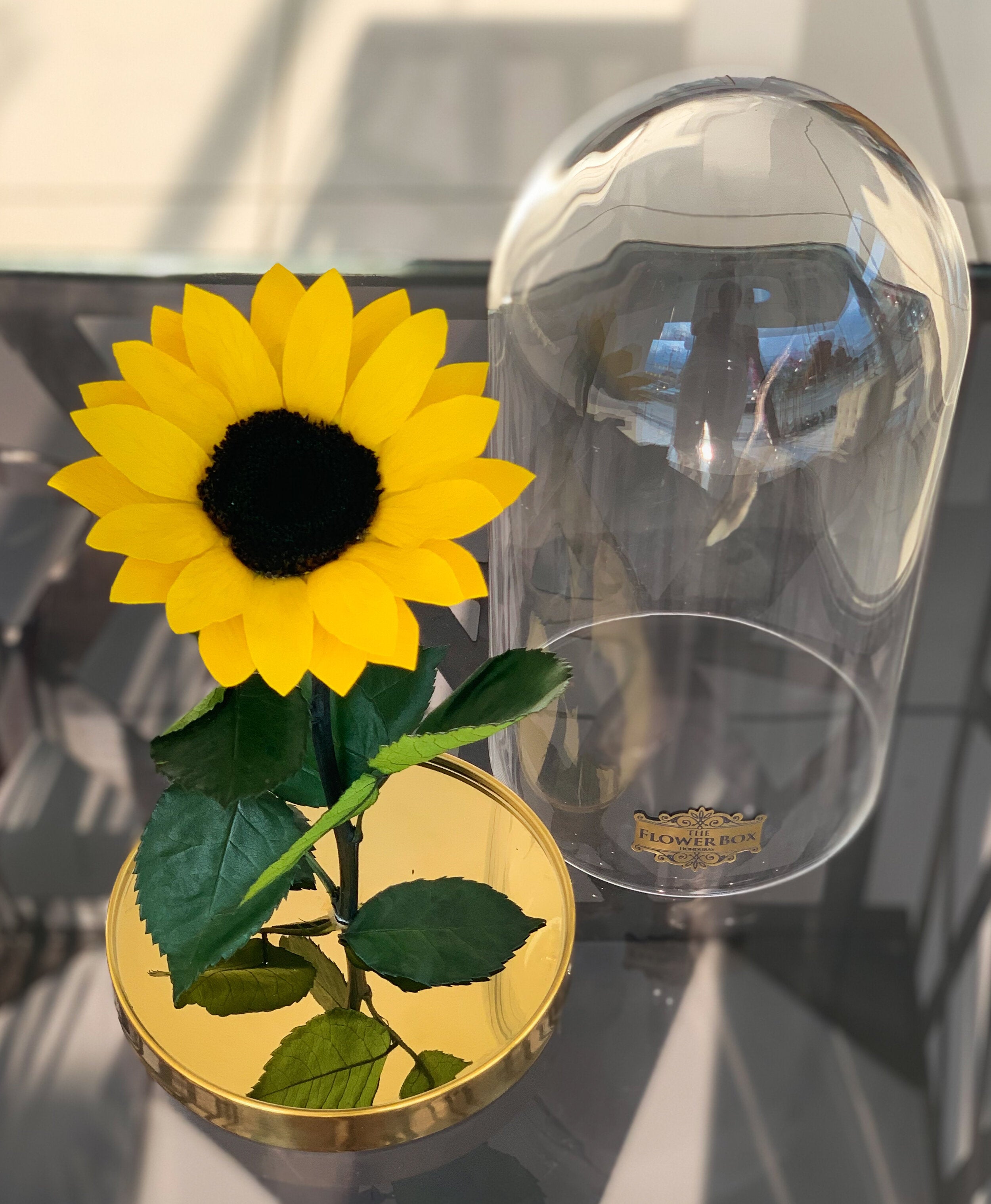 Beauty and the Beast Sunflower Edition