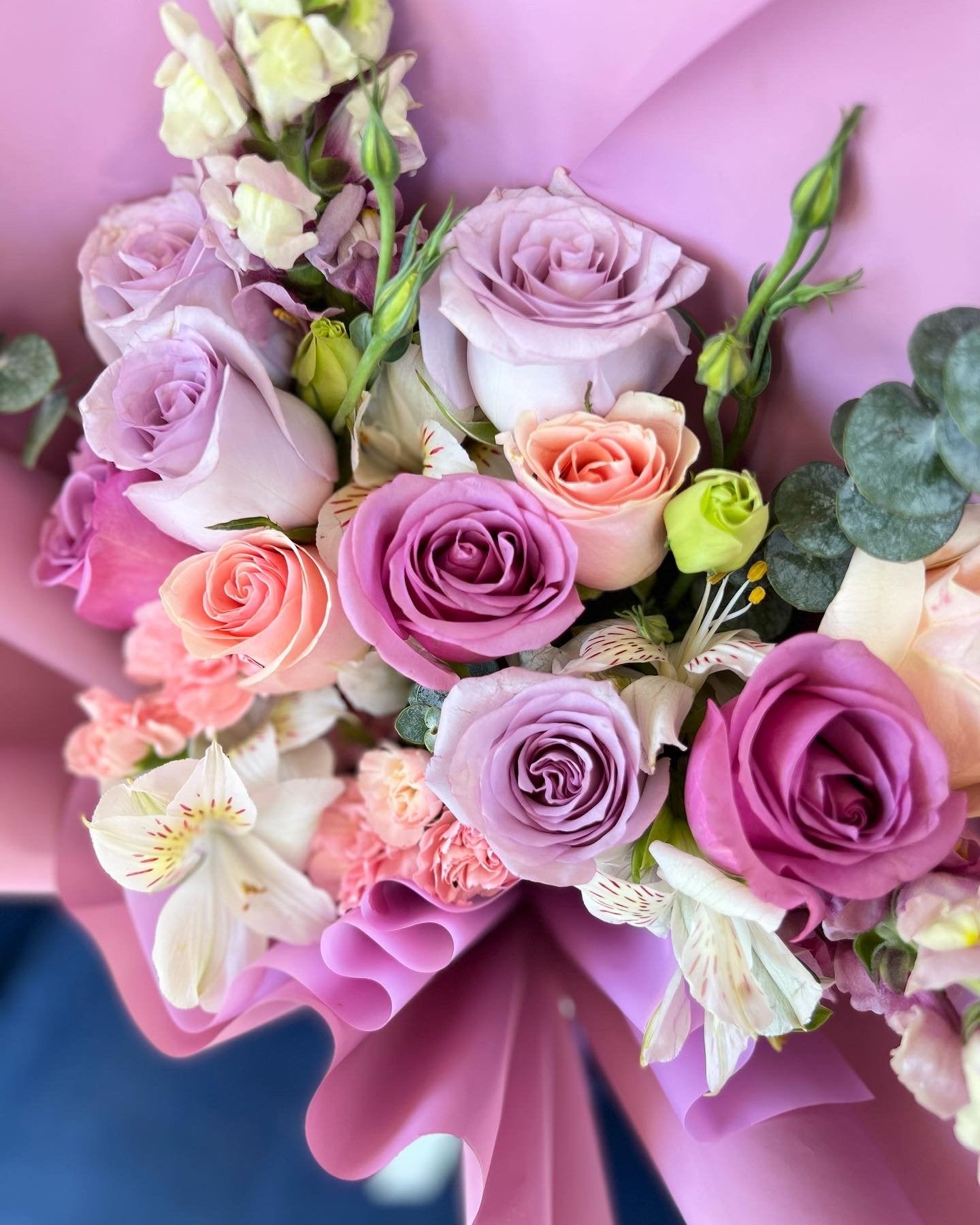 Lovely Lilac
