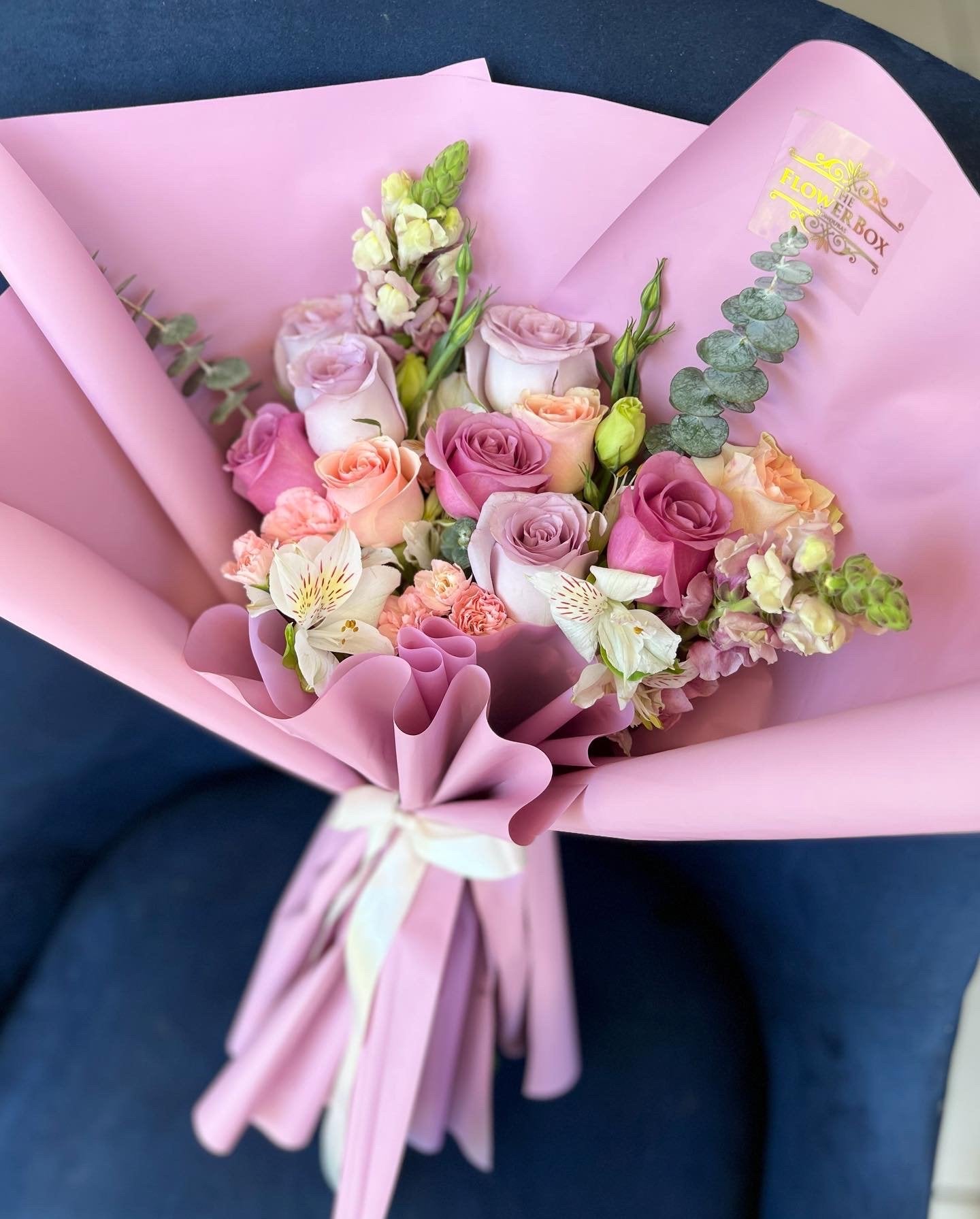 Lovely Lilac
