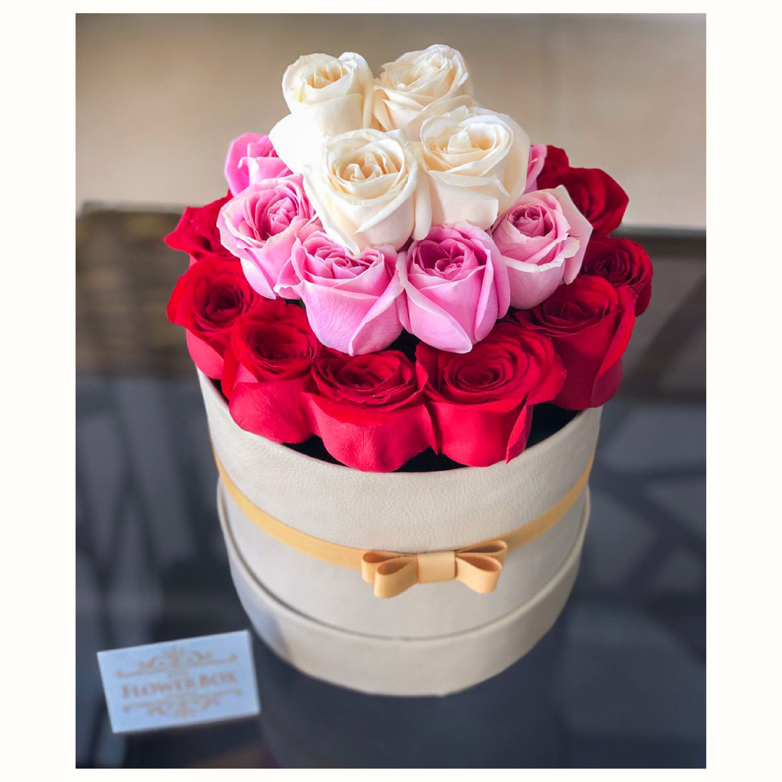 Cupcake Box