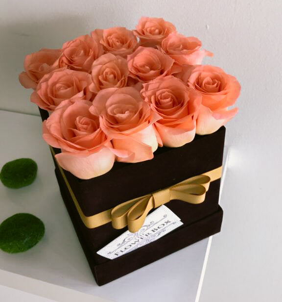 Square Classic 12 Box