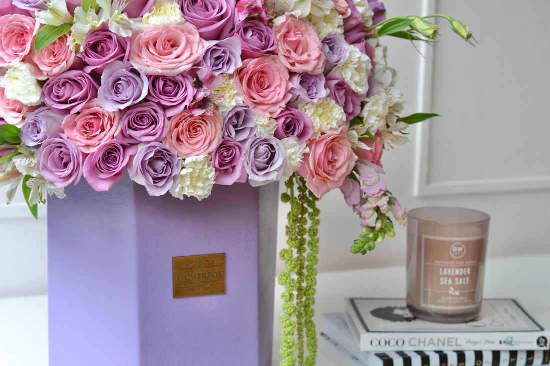 Organic Lilac XL