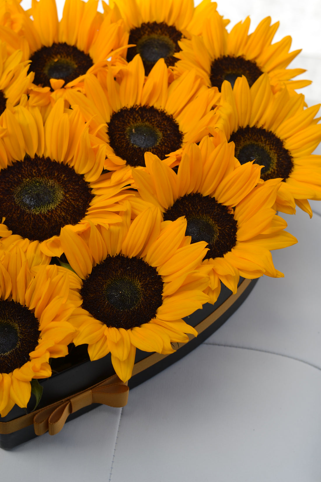 Sunflower love
