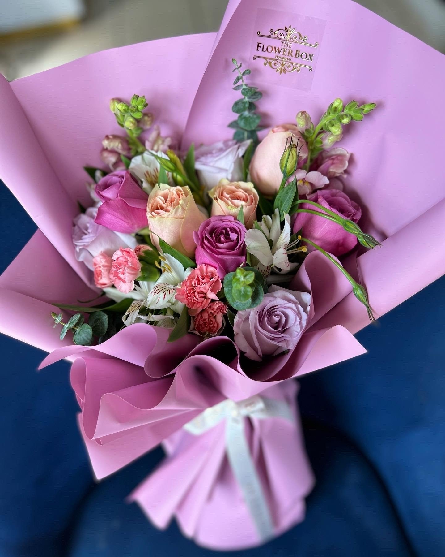 Lovely Lilac