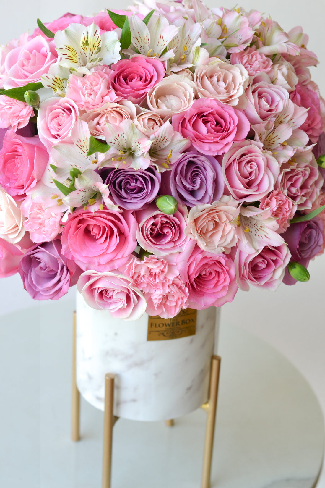 Pink Charmer
